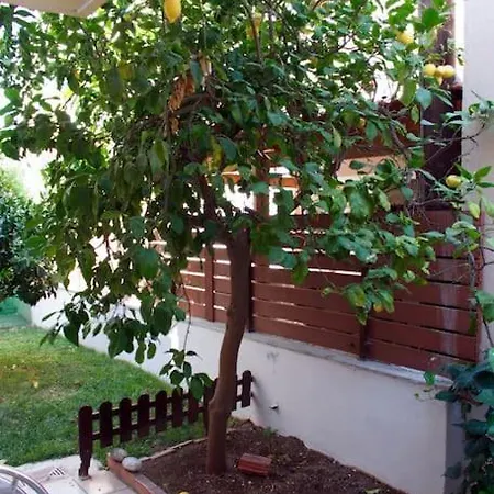 Stilvi * Родос